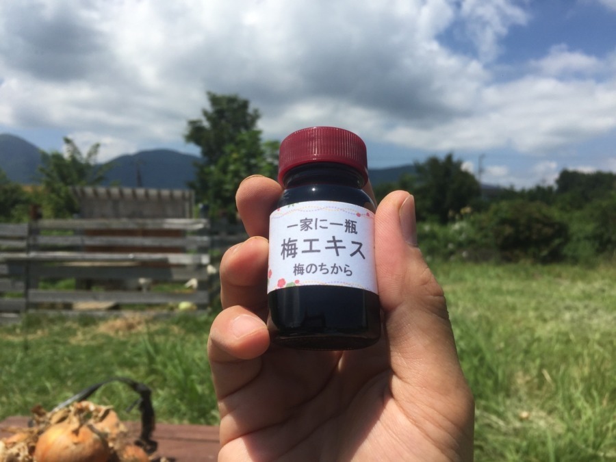 これな～んだ！？