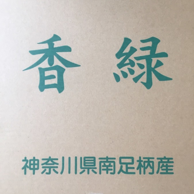 【キウイ香緑：3L以上】