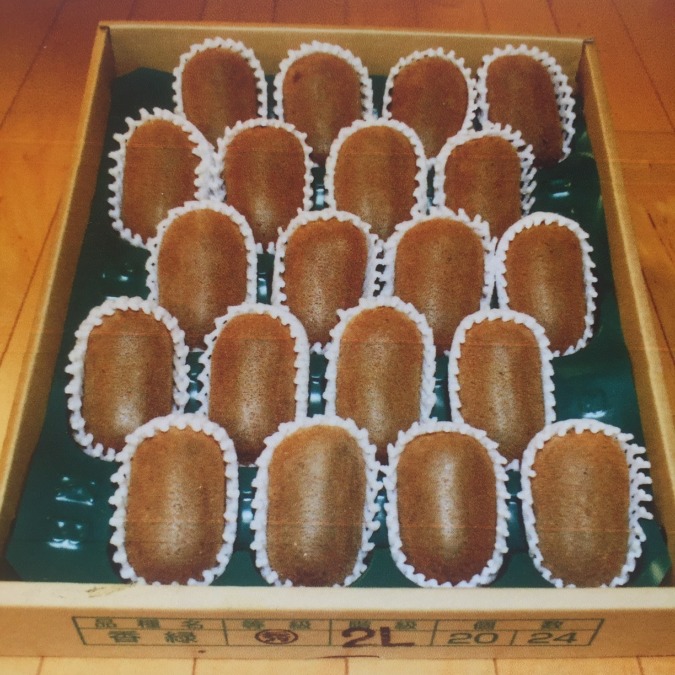 【キウイ香緑：2L】