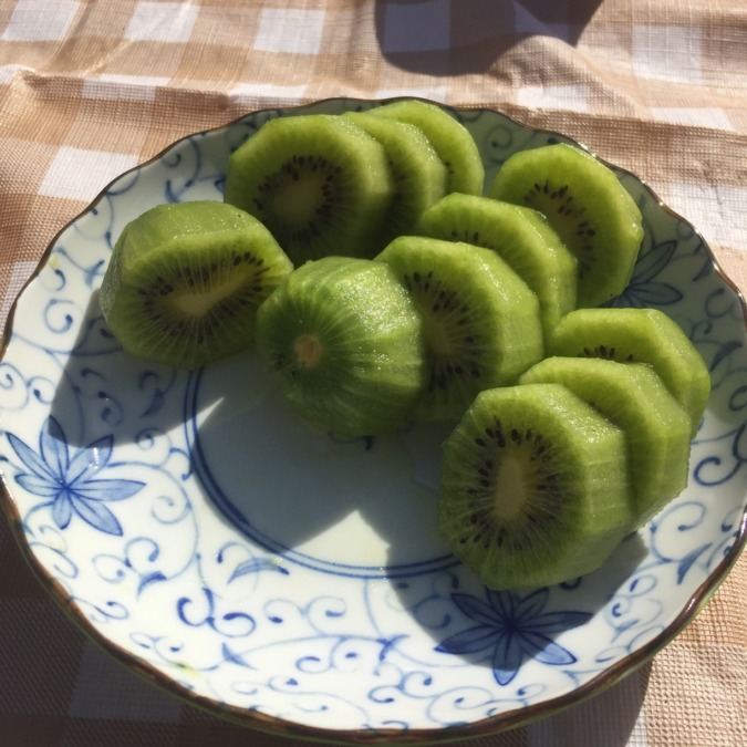 【開催御礼：11月16日（土）】みんなで三万個！！キウイ収穫。