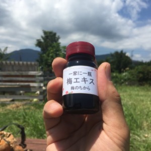 【一家に一瓶】梅エキス