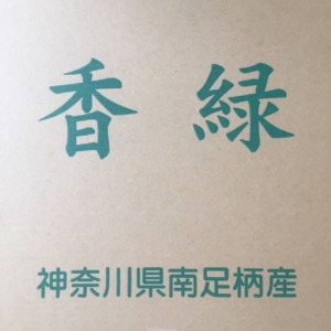 【キウイ香緑：3L以上】